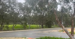 Brand new SDA available to move in