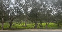 Brand new SDA available to move in