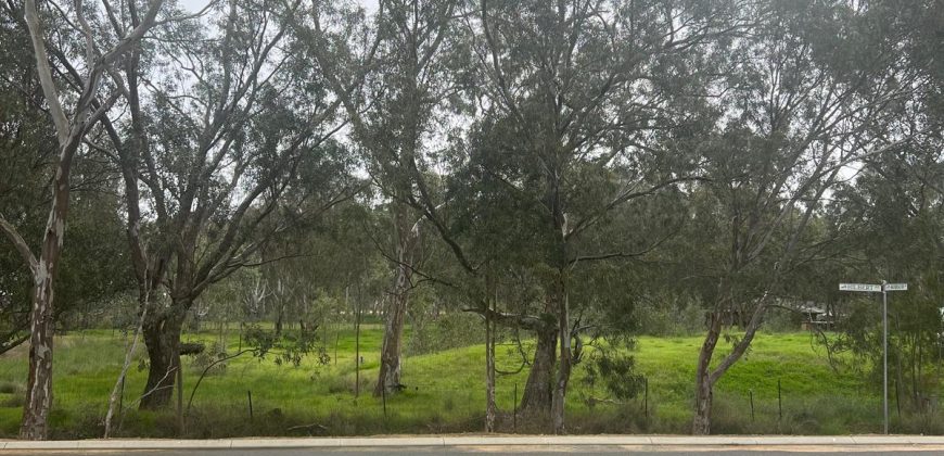 Brand new SDA available to move in